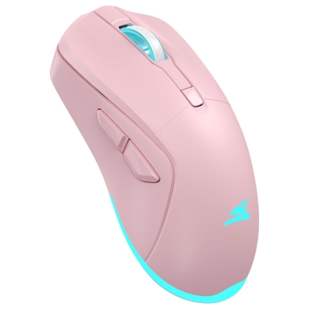 Baracuda TURTLE BGM-124 Pink