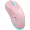 Baracuda TURTLE BGM-124 Pink