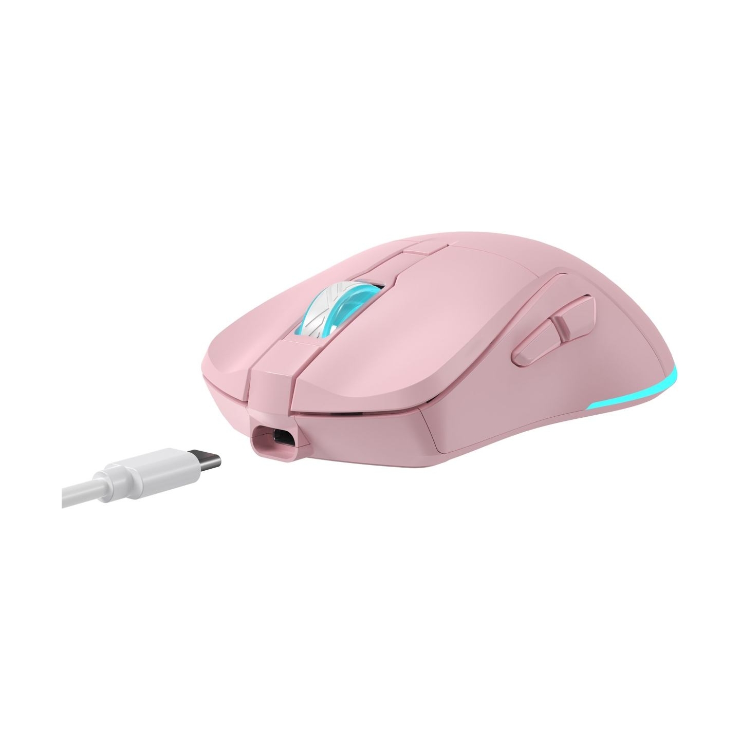 Baracuda TURTLE BGM-124 Pink