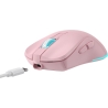 Baracuda TURTLE BGM-124 Pink