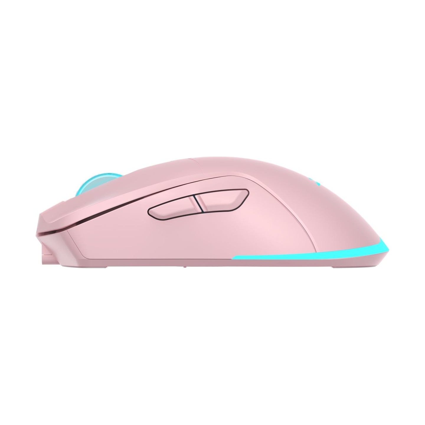 Baracuda TURTLE BGM-124 Pink