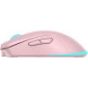 Baracuda TURTLE BGM-124 Pink