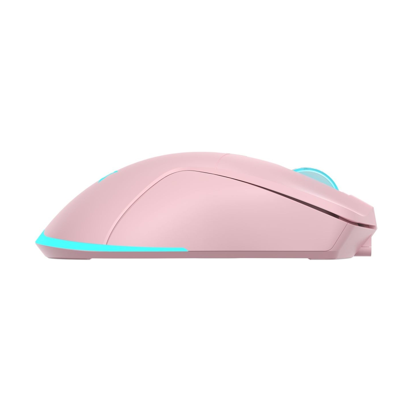 Baracuda TURTLE BGM-124 Pink
