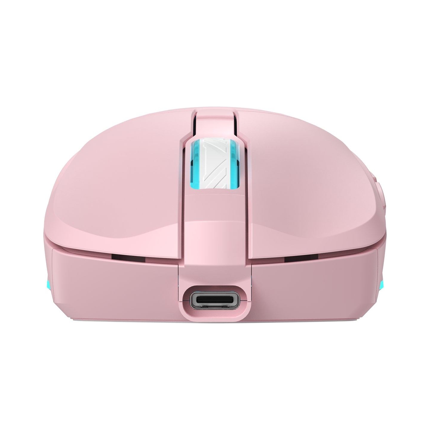 Baracuda TURTLE BGM-124 Pink