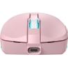 Baracuda TURTLE BGM-124 Pink