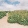 Gt Photo GT24FILM Photo Film 35mm