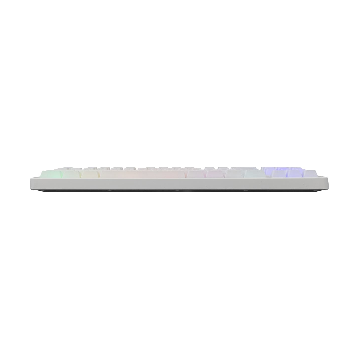 Baracuda BGK-01114 Krill White US