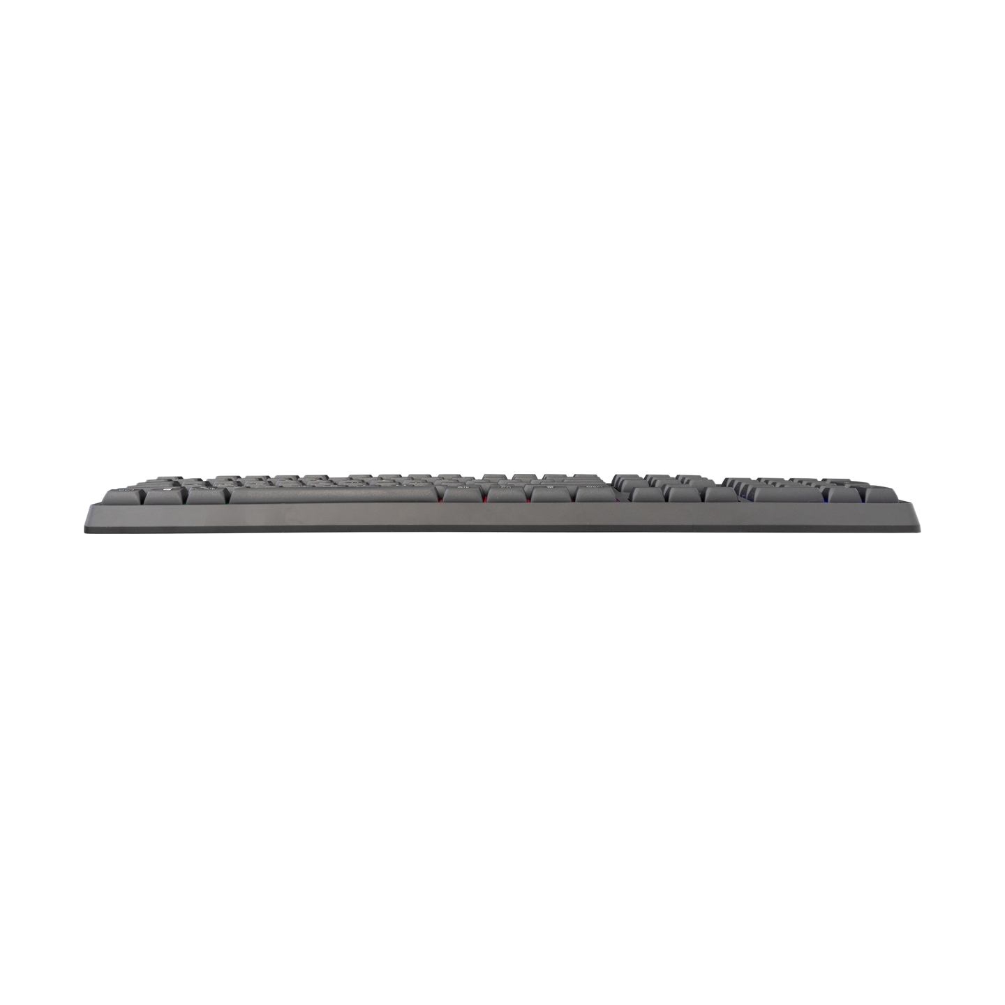 Baracuda BGK-02114 Starfish Black US