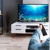 Manta DVBT005-SH Tuner for TV DVBT-T2/HEVC SHARK