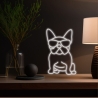Manta SNL66WH Style Neon Lights FRENCH BULLDOG White