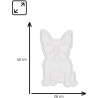 Manta SNL66WH Style Neon Lights FRENCH BULLDOG White
