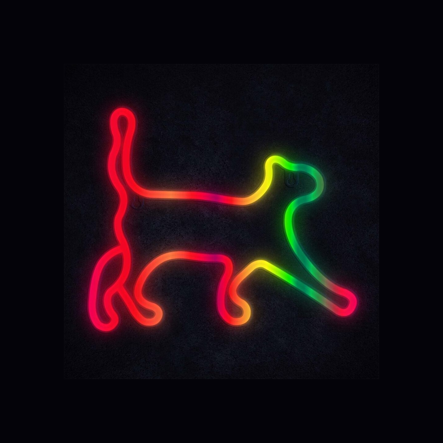 Manta SNL60RGB Style Neon Lights CAT