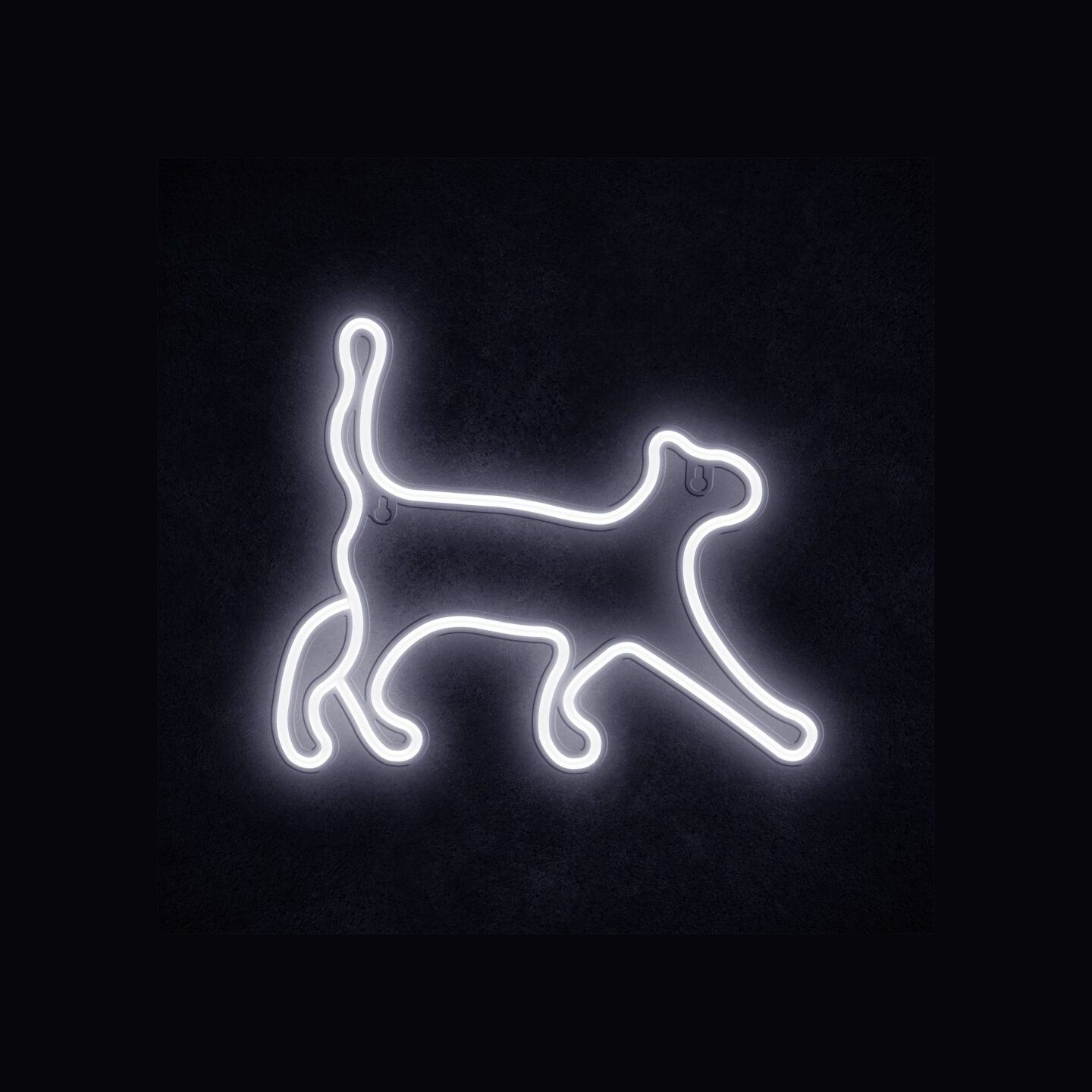 Manta SNL70WH Style Neon Lights CAT 2 White