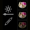 Manta MASNL129WH  Style Neon Lights Cat With A Bow LED Neon Mirror