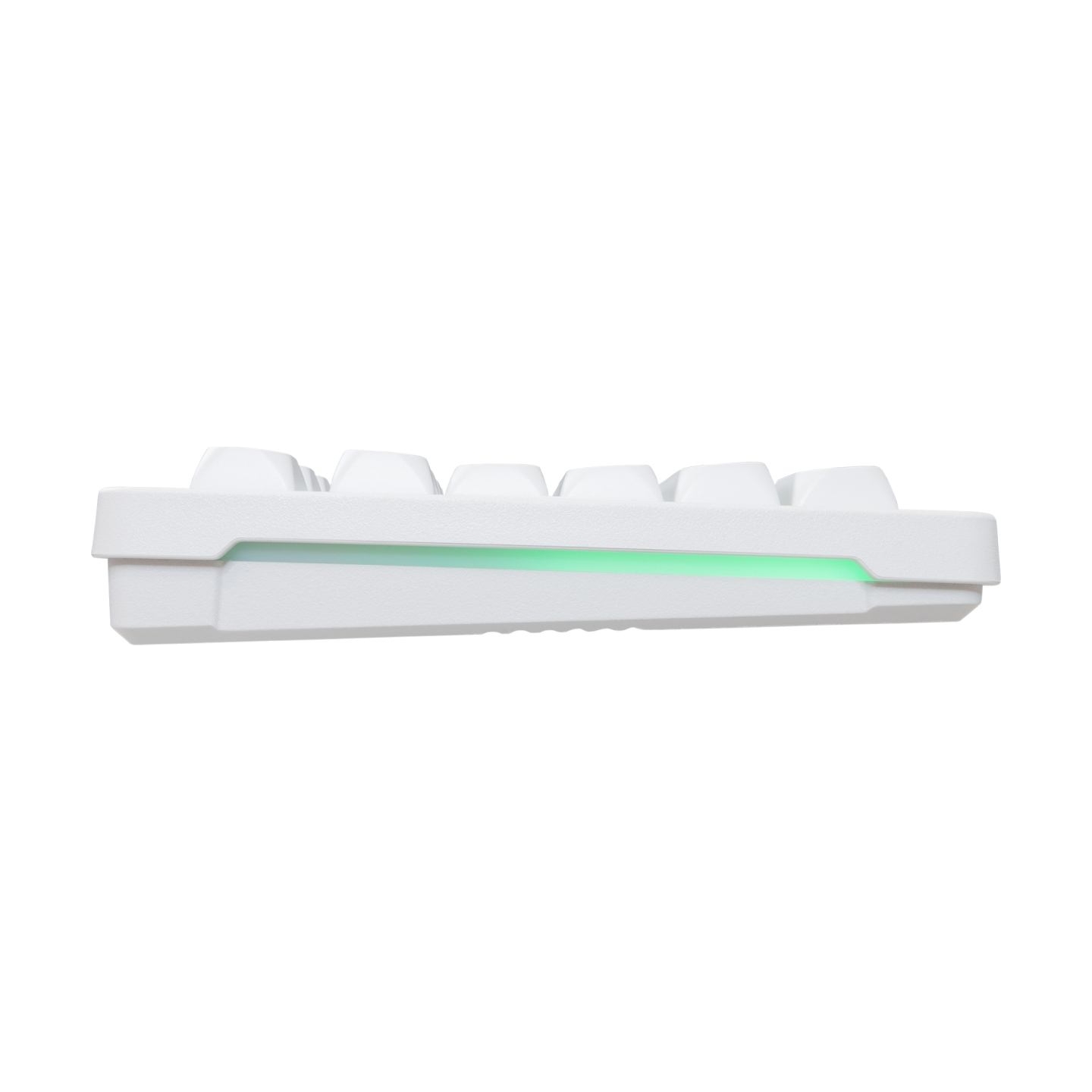 Baracuda ORCA-W BGC-012, White Combo