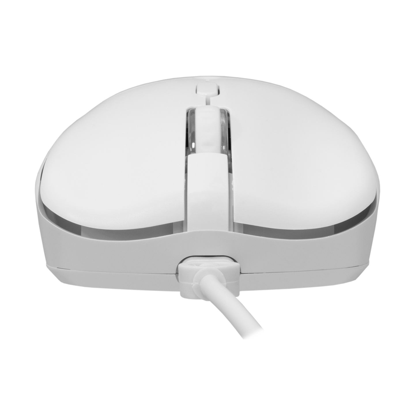 Baracuda ORCA-W BGC-012, White Combo
