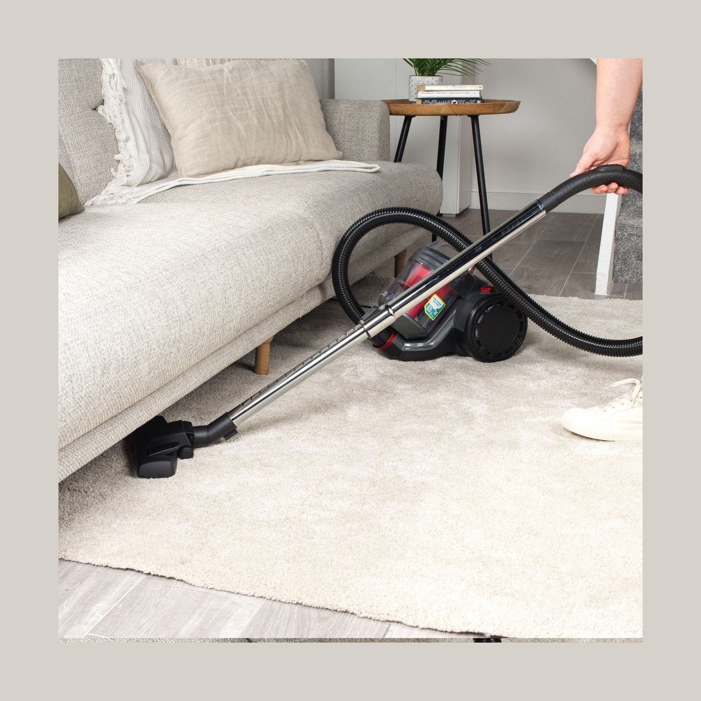 Beldray BEL0700TBVDE Compact Pet Plus
