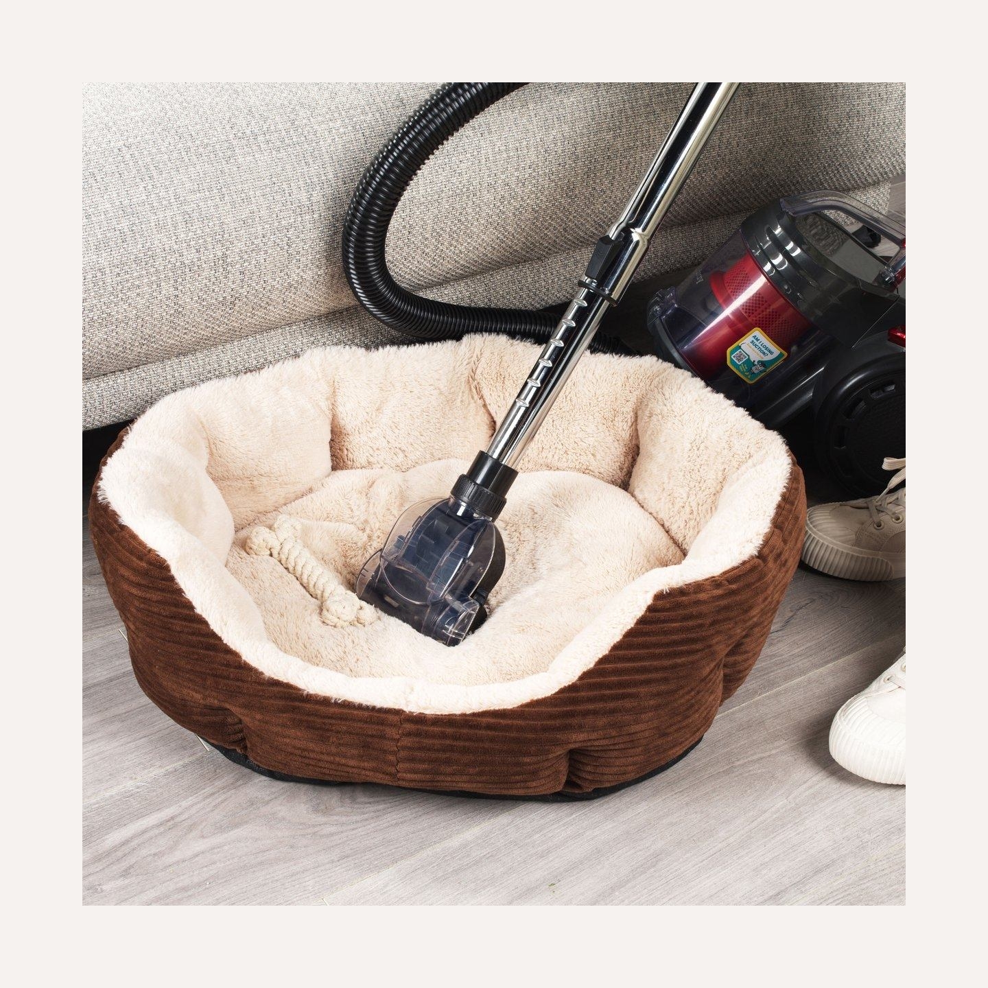 Beldray BEL0700TBVDE Compact Pet Plus