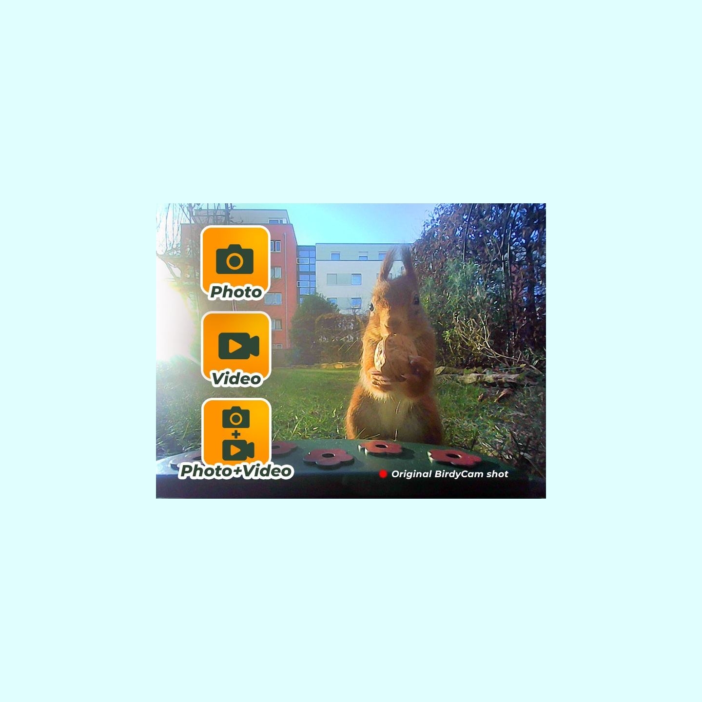 Easypix BirdyCam