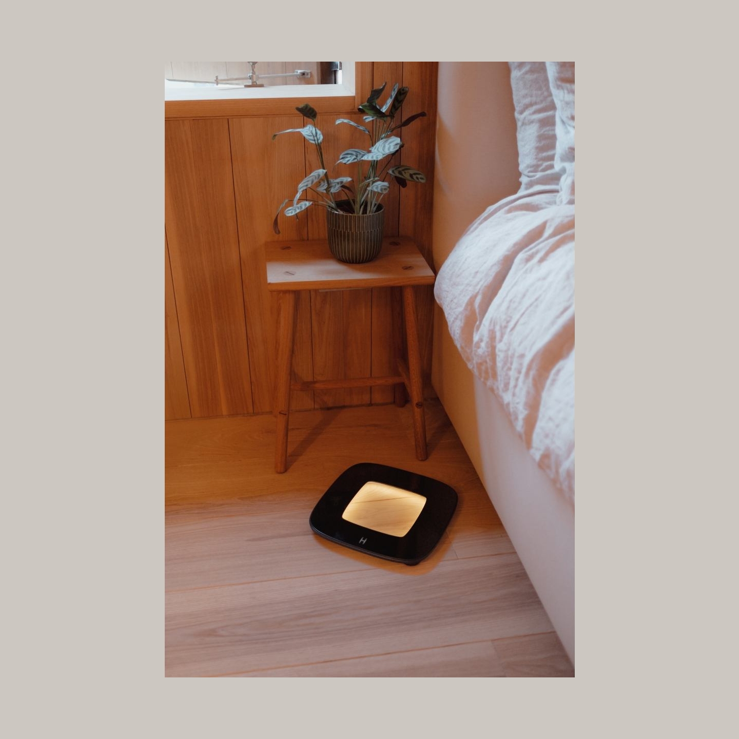 Homedics SCL-B100-BK glo Digital Scale
