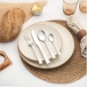 Salter BW031402EU7 Buxton 24-Piece Cutlery Set
