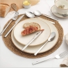 Salter BW124271EU7 44-Piece Winslow Cutlery Set