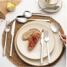 Salter BW124271EU7 44-Piece Winslow Cutlery Set