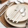 Salter BW124271EU7 44-Piece Winslow Cutlery Set