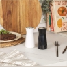 Salter BW129471EU7 Gravity Salt & Pepper Shaker Set