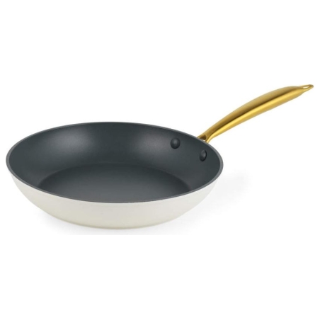 Salter BW14598 Aerotech Professional 24cm Fry Pan