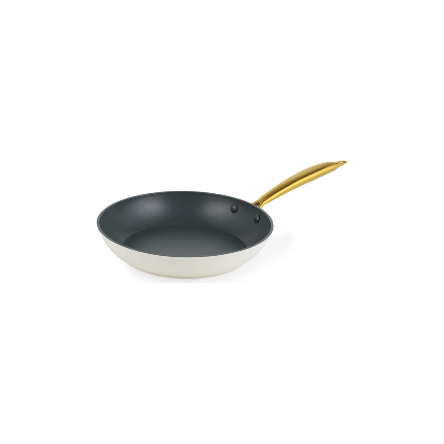 Salter BW14598 Aerotech Professional 24cm Fry Pan