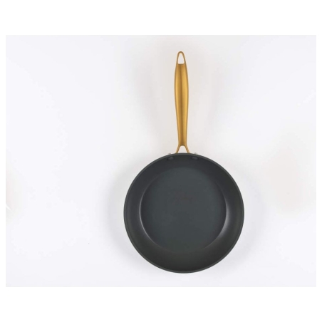 Salter BW14598 Aerotech Professional 24cm Fry Pan