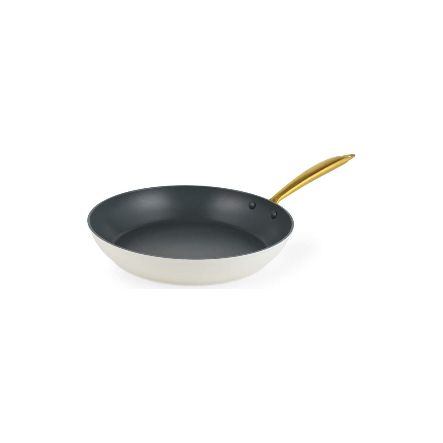 Salter BW14599 Aerotech Professional 28cm Fry Pan