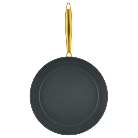 Salter BW14599 Aerotech Professional 28cm Fry Pan