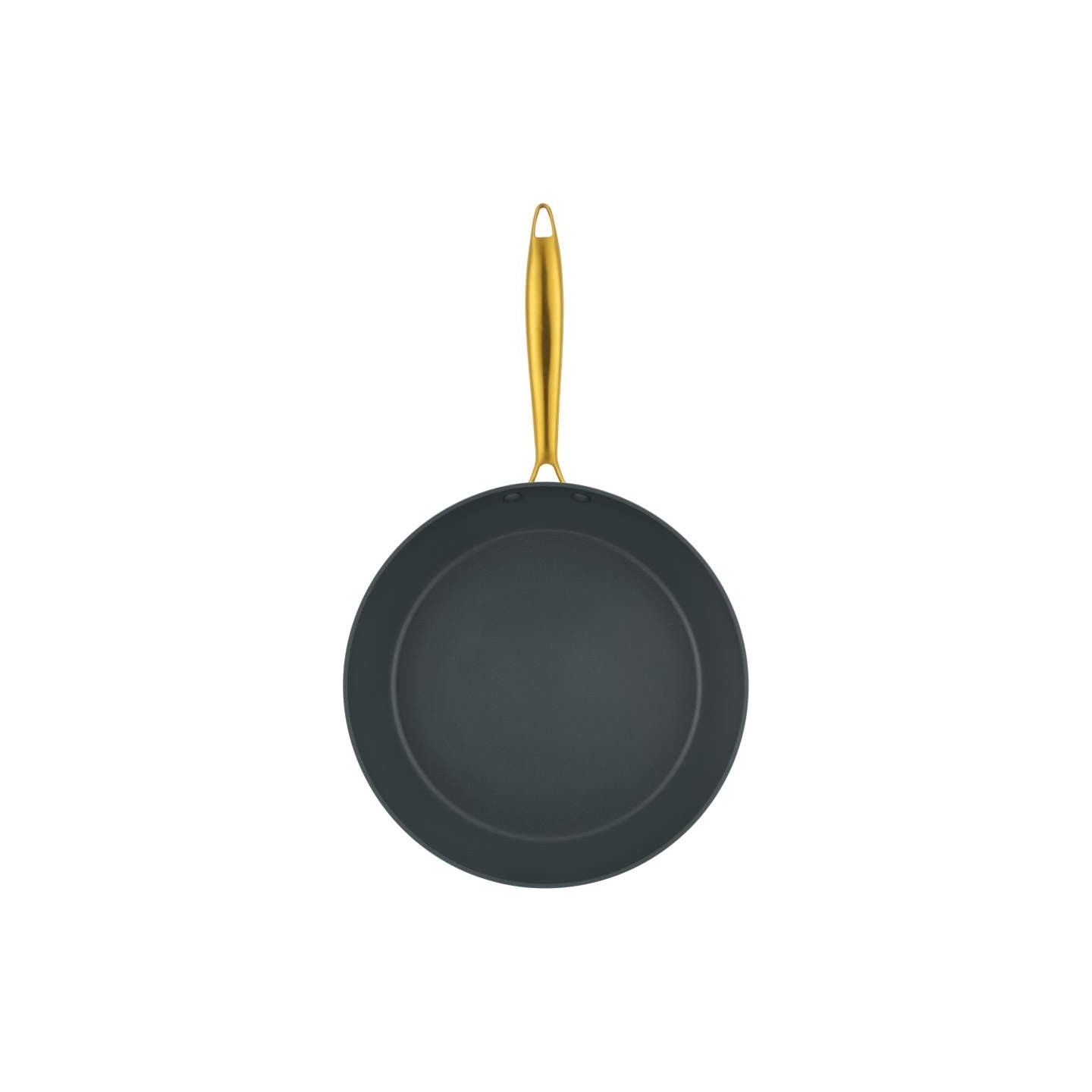 Salter BW14599 Aerotech Professional 28cm Fry Pan