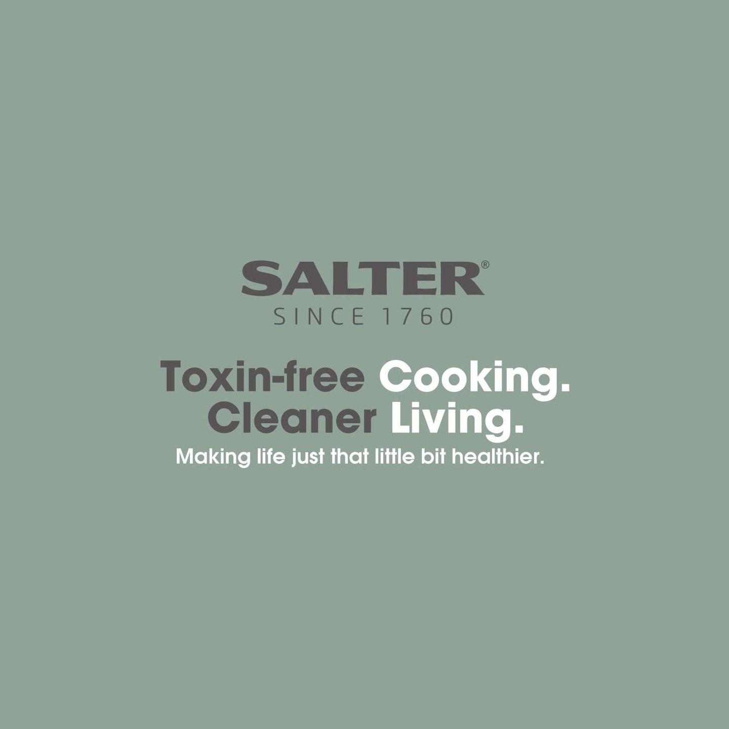 Salter BW092831EU7 Earth 3 Piece (16/18/20cm) Pan Set