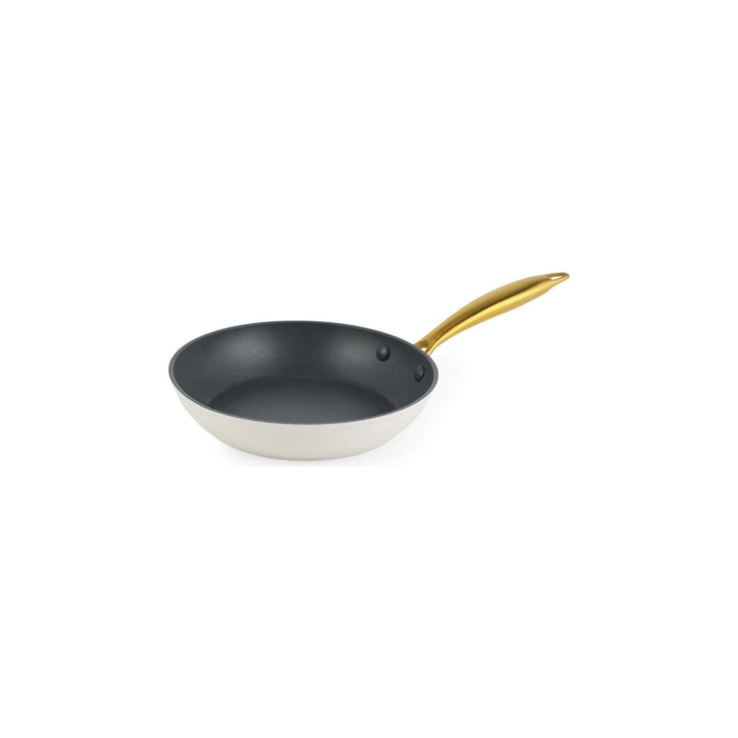 Salter BW14597 Aerotech Professional 20cm Fry Pan