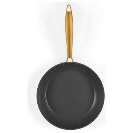 Salter BW14597 Aerotech Professional 20cm Fry Pan