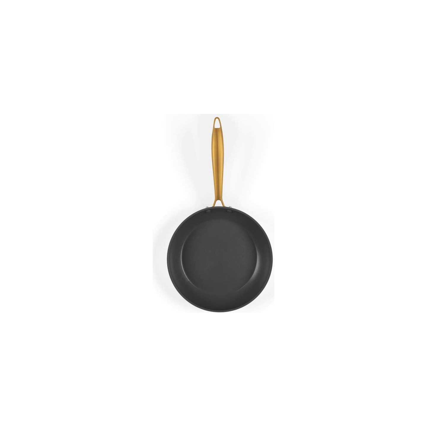 Salter BW14597 Aerotech Professional 20cm Fry Pan