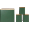 Salter BW12900G Toronto 4-Piece Countertop Set, Green
