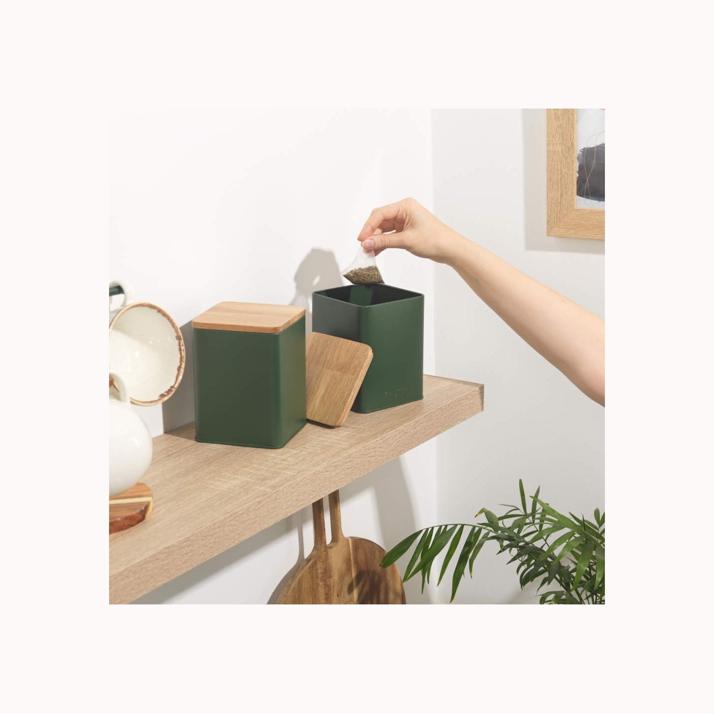 Salter BW12900G Toronto 4-Piece Countertop Set, Green