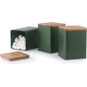 Salter BW12898G Toronto 3-Piece Canister Set, Green