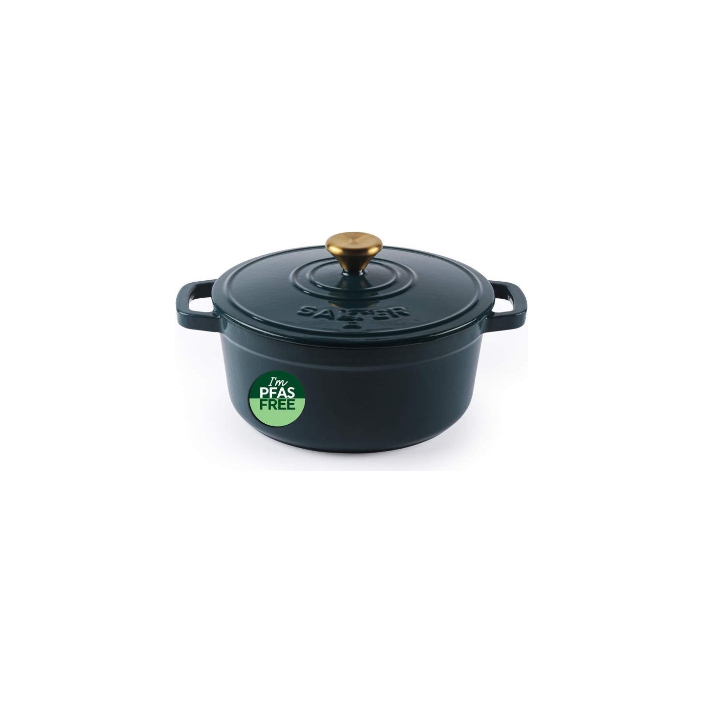 Salter BW13771GR Chester 3.4L Cast Iron Casserole Pot 24 cm, Green