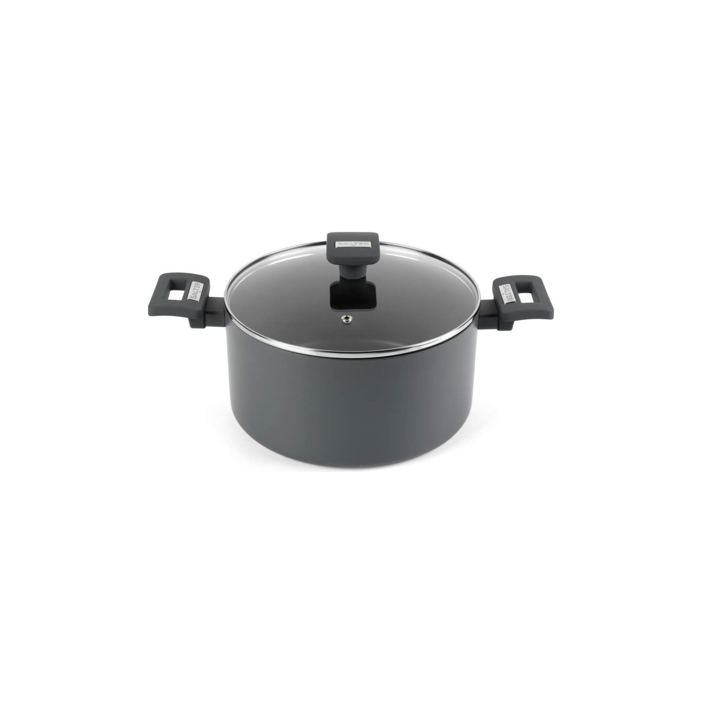 Salter BW14726 Alto 24 cm Stockpot