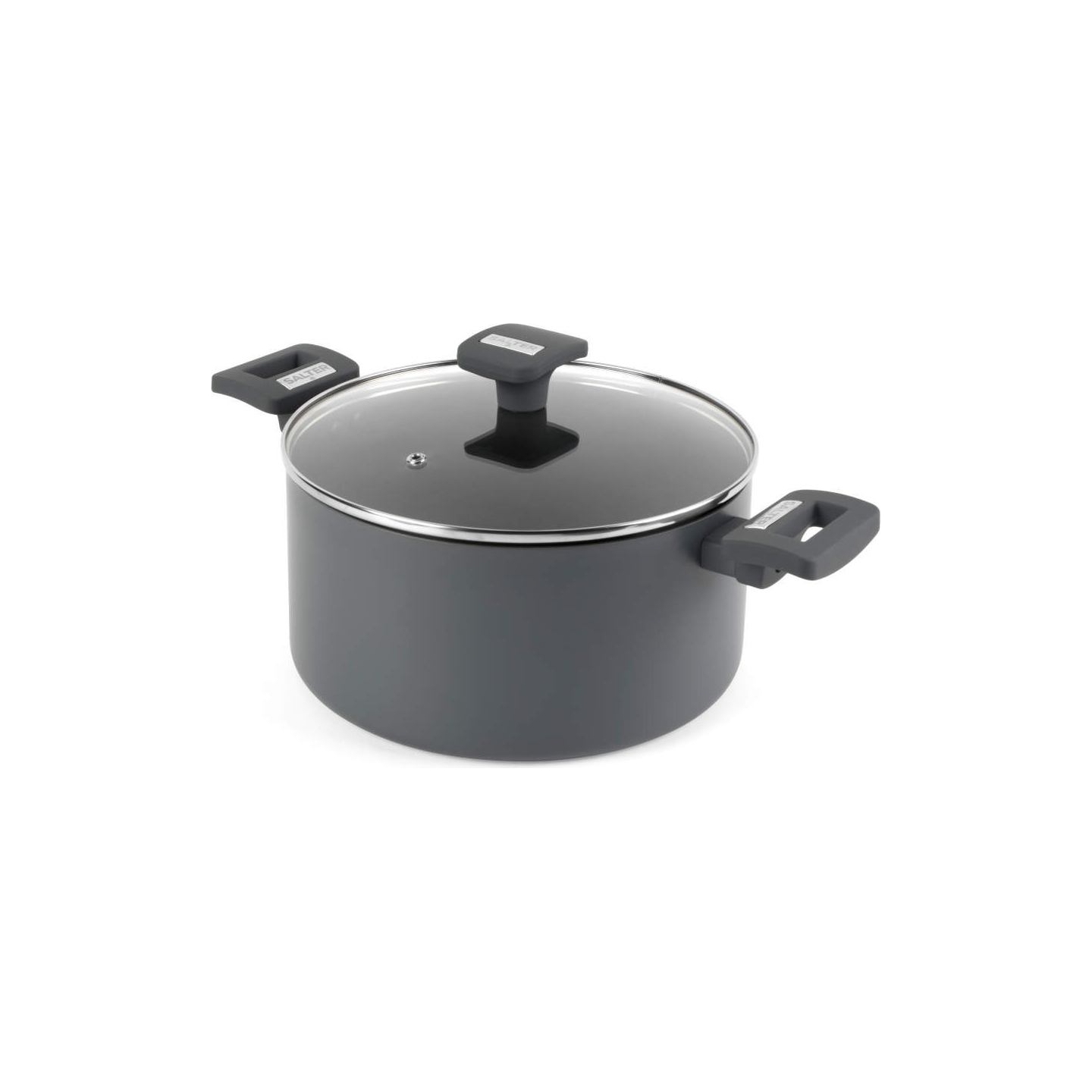 Salter BW14726 Alto 24 cm Stockpot