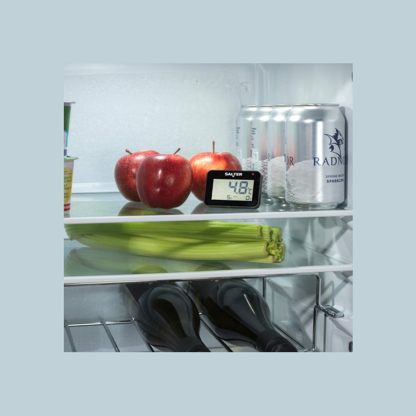 Salter SA00574BFEU12 Digital Fridge Thermometer