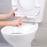 Beldray LA037062PEU7 Anti-bac Quick-release Toilet Seat, White