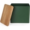 Salter BW12899G Toronto Bread Bin, Green/Wooden