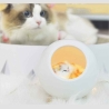 Tellur Cat Night Light