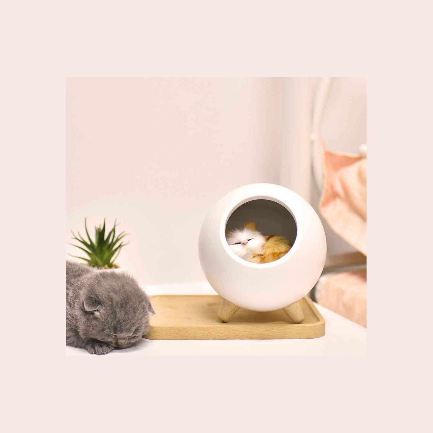 Tellur Cat Night Light